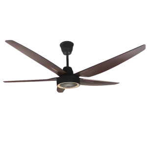 DC Ceiling fan