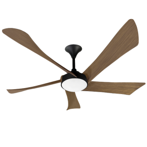 Ceiling fan with light